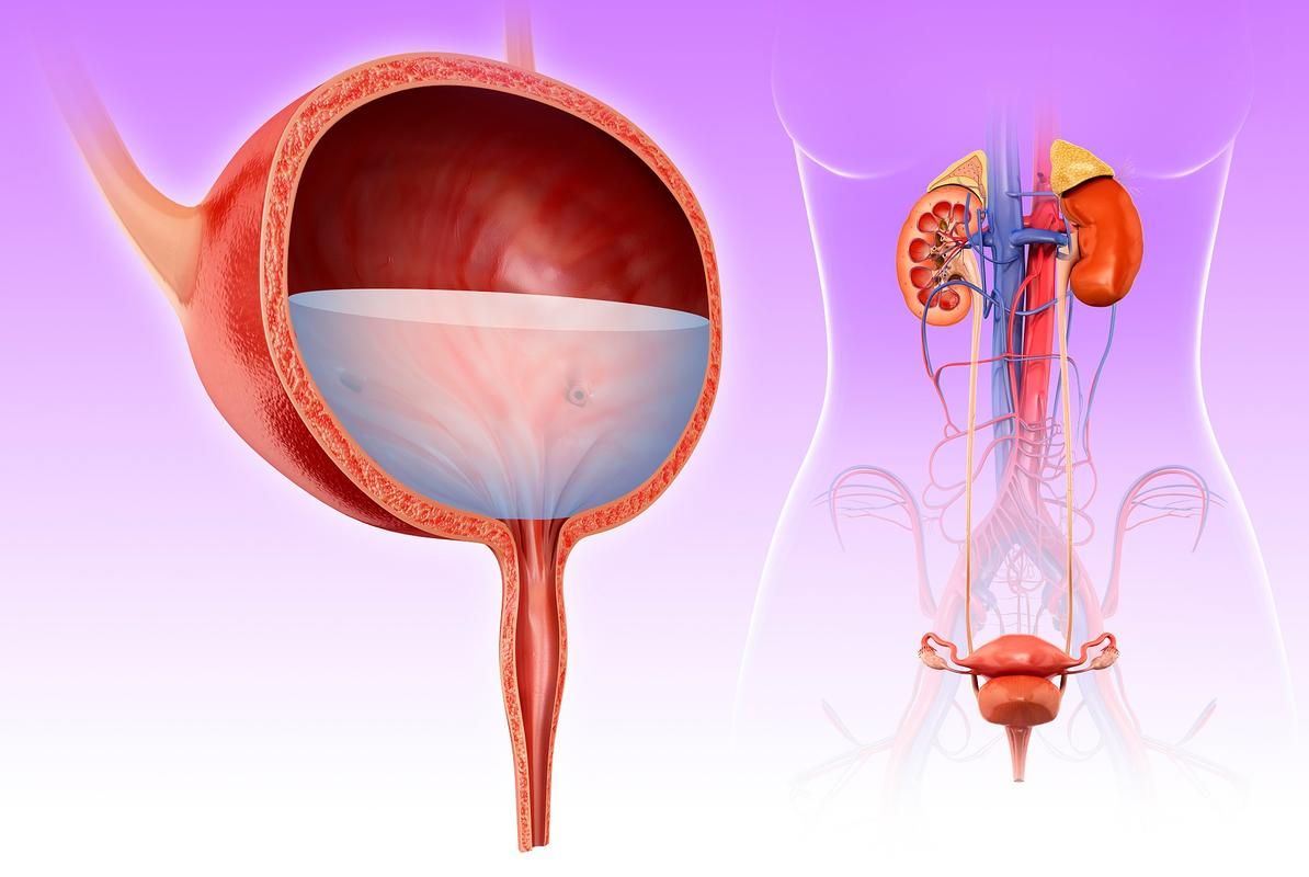 膀胱出口梗阻为什么会导致尿频？